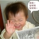 고기담아 이미지