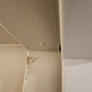 페이지나인호텔 이미지