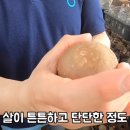 박준호농장 이미지