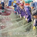 제철수산물