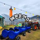 이동읍 축구장 | 헤븐온어스-용인 아이와 가볼만한 곳/할로윈&amp;딸기 어린이 체험 예고!(예약 방법)