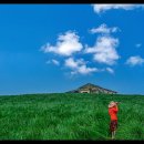 천북농장 이미지