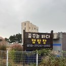 꿈의바다 | 🌊 태안 꿈꾸는바다 캠핑장 후기｜바다 바로 앞 감성 캠핑 명소