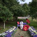 강진-27 | 강진 백련사 동백축제 후기 | 솔직한 개화 현황 기록