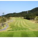 캐슬렉스CC 이미지