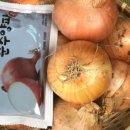 신일푸드 이미지