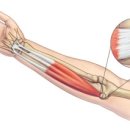 아이디얼 필라테스 이미지