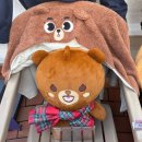 The D왈G # | 20251219 데이식스 크리스마스 첫콘 다녀온 후기 (Feat. Young K H.B.D)