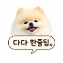 331 | 수원 장미스팟 투어 | 화홍문 주차장부터 파란대문집까지 다다랑 다녀온 후기