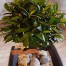 초원꽃집 이미지