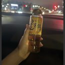 다오니김밥 | 밍끼와 성밍이의 제주도여행하루❤️💕(2)