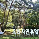 연미동산 | 옥화자연휴양림 둘레길, 운암휴양길(2025. 9. 26.)