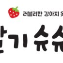 슈슈패밀리 이미지