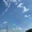 짱아숯불바베큐 | 251101~02 에잇시즌즈 글램핑, 강원도 홍천 글램핑 추천, 홍천 맛집/카페 추천, 느티나무, 카페이서 홍천점