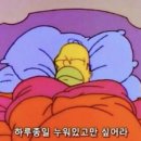 [독일 교환학생(3)] 그래도 사랑하시죠? (독일비자 및 일상)