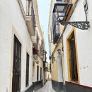 (주)대성건설 | (런던 유학생/여자 혼자 유럽여행) 1월 포르투갈·스페인 여행｜ 세비야 2박 2일차(내돈내산 세비야...