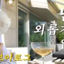 브이로그