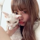 써니 이미지