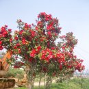 다윗농장 이미지