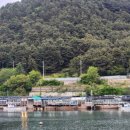 [내돈내산] 부산 용호동 '섭자리 9호 현대호'