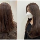 살롱알포유 네이버블로그