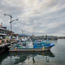 동해시-37 이미지