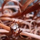 (주)대원물산 이미지