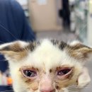 다솔메디칼 이미지