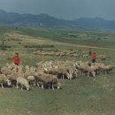 개마고원 이미지