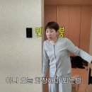 센언니들이 즐겨입는 저렴이 국내 브랜드