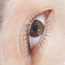 달콤네일/스킨스토리 이미지