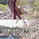 주식회사 스카이정보통신 | 도쿄 놀이공원 요미우리 랜드 입장권 예약 방법 벚꽃 여행