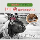 엘림랜드(주) 이미지