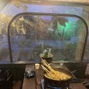 동일스위트1단지(아)경로당 | 제주 서귀포 야장 심야술집｜이상한 변호사 우영우 촬영지 로즈마린 서귀포술집추천