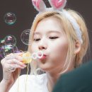 토끼사 이미지