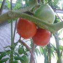 해변의 바람 이미지