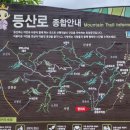 새원농장 네이버블로그
