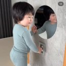 킹스브레드 네이버블로그