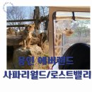 [용인여행] 에버랜드 사파리월드VS로스트밸리 스마트줄서기 현장줄서기