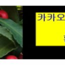 GS25안양호계점 이미지