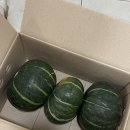 보성우체국 | [우체국쇼핑] 타임딜 보성 겸백 단호박 구매 후기