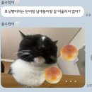 남대동