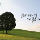 레브유