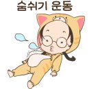 김씨마구로 이미지