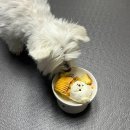 댕콤달콤 이미지