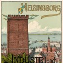 비요르크 이미지