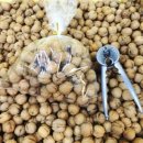 싱싱팜농장 이미지