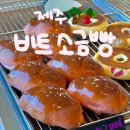 토브농장베이커리 | 🫜제주 애월 비트 소금빵 맛집 토브농장 베이커리카페 재방문 오조오억번 예정