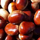 자자 농장 이미지