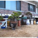 놀부농장 이미지